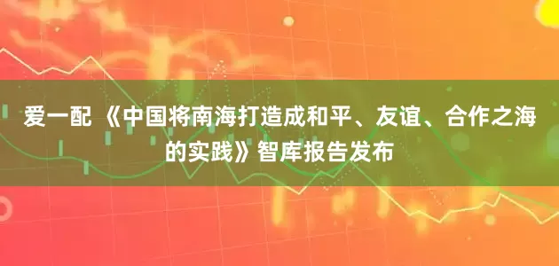 爱一配 《中国将南海打造成和平、友谊、合作之海的实践》智库报告发布