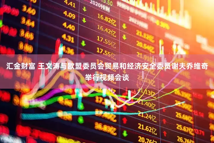 汇金财富 王文涛与欧盟委员会贸易和经济安全委员谢夫乔维奇举行视频会谈