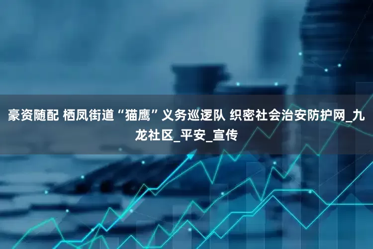 豪资随配 栖凤街道“猫鹰”义务巡逻队 织密社会治安防护网_九龙社区_平安_宣传