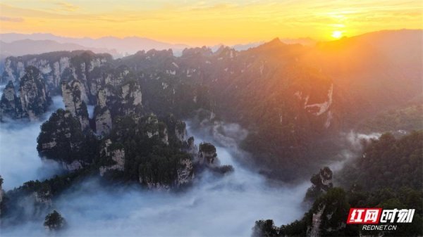 智策管家 张家界鹞子寨景区：金秋日出云海同框 绘就多彩山水画卷